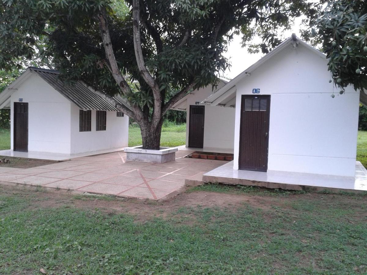 Campestre Cenvaturs
