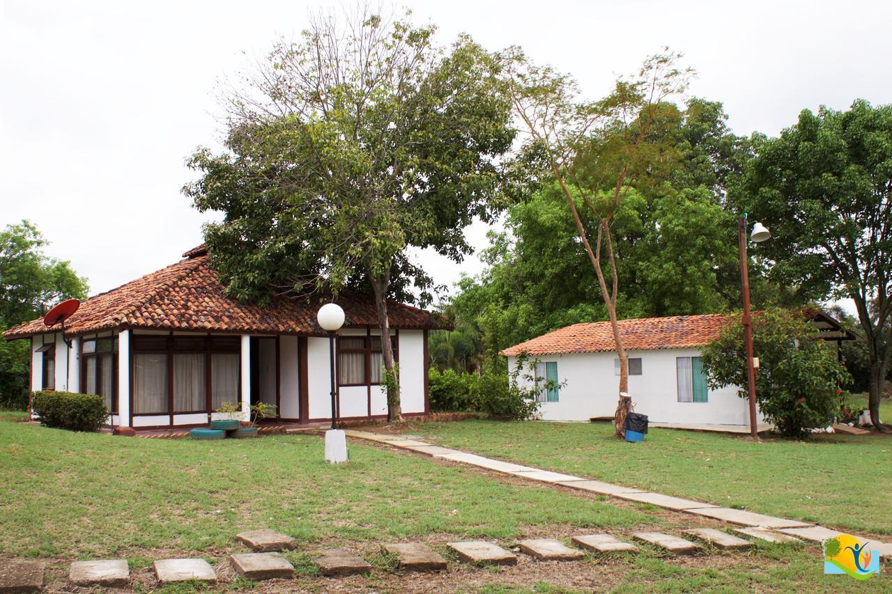 Campestre Cenvaturs *